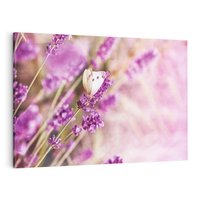 Obraz na płótnie 120x80 - Majestat lawendy: fioletowe pola - lawenda, fiolet