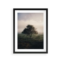 Plakat w ramie 30x40 - Zamglona Prostota - artystyczna fotografia, samotne drzewo na zamglonej łące - rama czarna