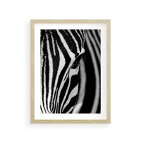 Plakat w ramie 50x70 - Pasy Zebr - zebra, paski - rama drewno