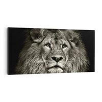 Obraz na płótnie 120x60 - Moc lewego spojrzenia - lew, czarno