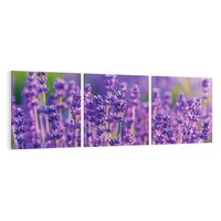 Obraz na płótnie 120x40 - Zaklęta lawenda - lawenda, kwiaty