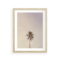 Plakat w ramie 30x40 - Samotna Palma pod Niebem - samotna palma, na tle nieba - rama drewno