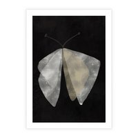 Plakat bez ramy 50x70 - Obce Powidoki - abstrakcyjna ćma, mroczna atmosfera