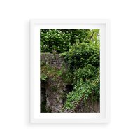 Plakat w ramie 50x70 - Żywiołowa Zieleń - mur, liście - rama biała