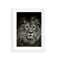 Plakat w ramie 50x70 - Moc lewego spojrzenia - lew, czarno - rama biała