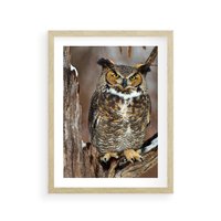Plakat w ramie 50x70 - Tajemniczy Stróż - sowa, las - rama drewno