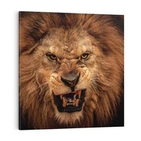 Obraz na płótnie 30x30 - Władca Sawanny - lew, sawanna