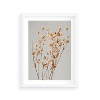 Plakat w ramie 50x70 - Delikatne gipsówki - gipsówka, suche - rama biała
