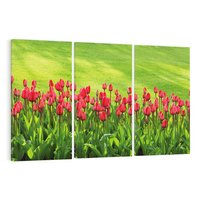 Obraz na płótnie 120x80 - Tulipanowy raj - kwiat, kwiaty