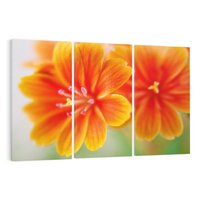 Obraz na płótnie 120x80 - Urok kwiatów - kwiat, kwiaty