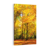 Obraz na płótnie 80x120 - Urok jesiennego lasu - las, drzewa