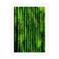Plakat bez ramy 50x70 - Bambusowy urok zielonej harmonii - bambus, zieleń