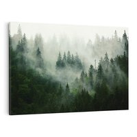 Obraz na płótnie 120x80 - Las Mgły - Las, we