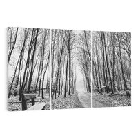 Obraz na płótnie 120x80 - Spadające Liście - czarno białe zdjecie, park