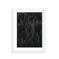 Plakat w ramie 50x70 - Wysoko nad Iglastym Lasem - las, perspektywa - rama biała