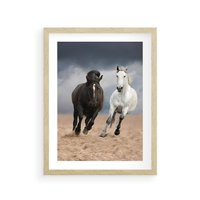 Plakat w ramie 50x70 - Siła koni w galopie - konie, galop - rama drewno