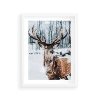 Plakat w ramie 30x40 - Jeleń na Zdjęciu pod Śniegiem - jeleń, zima - rama biała