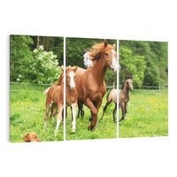 Obraz na płótnie 120x80 - Galopujące konie - konie, galop