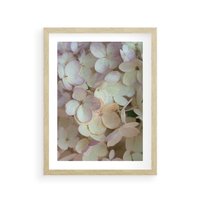 Plakat w ramie 50x70 - Kwiatowy taniec - kwiaty, hortensje - rama drewno