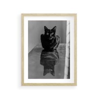 Plakat w ramie 40x50 - Kocie Oczy - kot, czarno białe zdjęcie - rama drewno