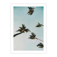 Plakat bez ramy 21x30 - Palmy i Niebo - palmy, ujęcie z dołu