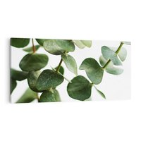 Obraz na płótnie 100x50 - Zielone eukaliptusy - eukaliptus, liście