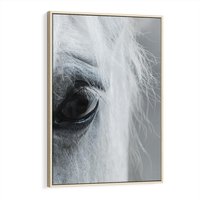 Obraz w ramie 80x120 - Oko Mocy - czarno białe zdjęcie, zbliżenie makro na oko konia - rama drewno