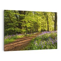 Obraz na płótnie 100x70 - Magia lasu: Drzewa w tajemniczej otoczce - las, drzewa