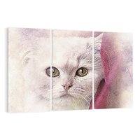 Obraz na płótnie 120x80 - Kot w abstrakcyjnym świetle - kot, abstrakcja