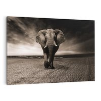 Obraz na płótnie 120x80 - Słoń - Wielki Przyjaciel Morza - słoń, plaża