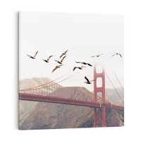 Obraz na płótnie 30x30 - Mewy przy Złotej Bramie - mewy, Golden Gate