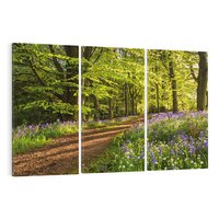 Obraz na płótnie 120x80 - Magia lasu: Drzewa w tajemniczej otoczce - las, drzewa