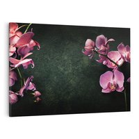 Obraz na płótnie 70x50 - Harmonia i relaks - orchidea, kwiat