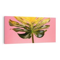 Obraz na płótnie 100x50 - Majestatyczna monstera - monstera, liść