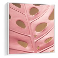 Obraz w ramie 80x80 - Różowa monstera w pełnym rozkwicie - różowa, monstera - rama biała