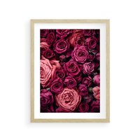 Plakat w ramie 30x40 - Róże - piękno kwiatów - róże, kwiaty - rama drewno