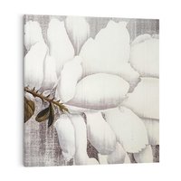 Obraz na płótnie 60x60 - Tekstura Kwiatu - białe kwiaty, duży kwiat
