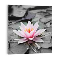 Obraz na płótnie 80x80 - Liliowy kwiat - lilia, kwiat