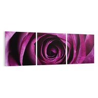 Obraz na płótnie 120x40 - piękno w delikatności - róża, kwiat