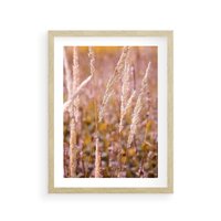 Plakat w ramie 30x40 - Sucha Trawa w Sierpniu - trawy, łąka - rama drewno