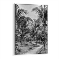 Obraz w ramie 50x70 - Mroczna Ścieżka Tropików - czarno biała fotografia, ścieżka pośród palm - rama biała