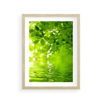 Plakat w ramie 50x70 - Liście w Wodzie - liście, woda - rama drewno
