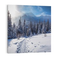 Obraz na płótnie 30x30 - Zimowe góry w lesie - góry, zima