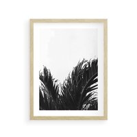 Plakat w ramie 50x70 - Tropikalna Uroda w Czerni i Bieli - fotografia czarno biała, liście palmy - rama drewno