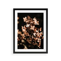 Plakat w ramie 30x40 - Hortensja - Suchy Kwiat w Sztuce - hortensja, suchy kwiat - rama czarna