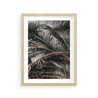 Plakat w ramie 50x70 - Liściaste Palmy - palmy, drzewa palmowe - rama drewno