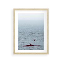 Plakat w ramie 40x50 - Spotkanie z Orką - morze, ocean - rama drewno