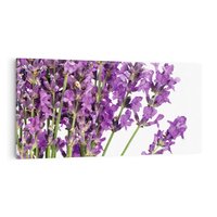 Obraz na płótnie 120x60 - Pola lawendy w pełnym rozkwicie - lawenda, kwiaty