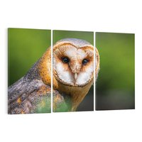 Obraz na płótnie 120x80 - Sowa nocą - sowa, ptak