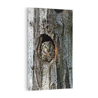 Obraz na płótnie 80x120 - Tajemniczy W świecie Nocy - sowa, dziupla